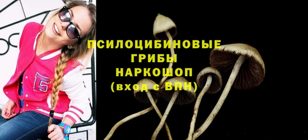 ешки Коряжма