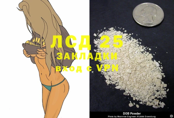 ПСИЛОЦИБИНОВЫЕ ГРИБЫ Костерёво