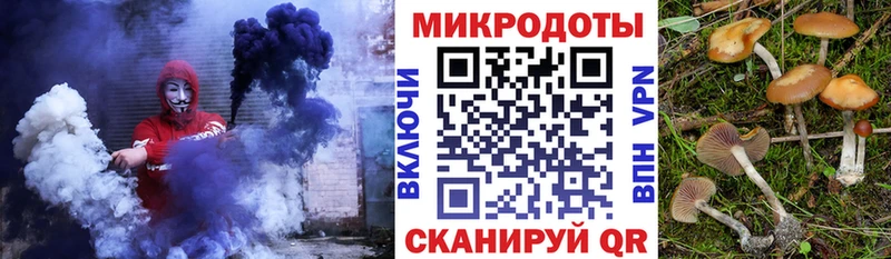 Галлюциногенные грибы Psilocybe  Мелеуз 